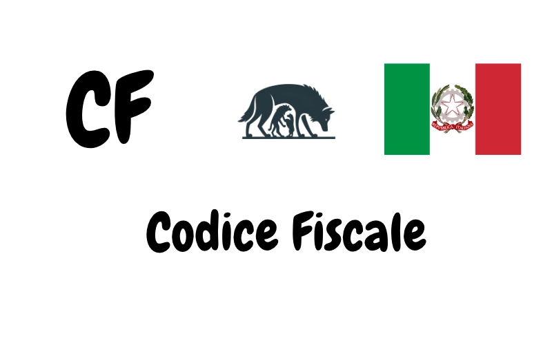 CF IT
