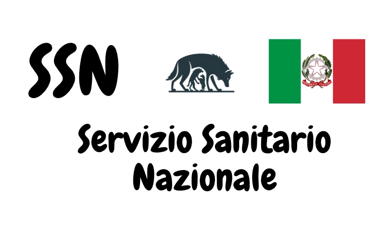 SSN Servizio Sanitario Nazionale IT