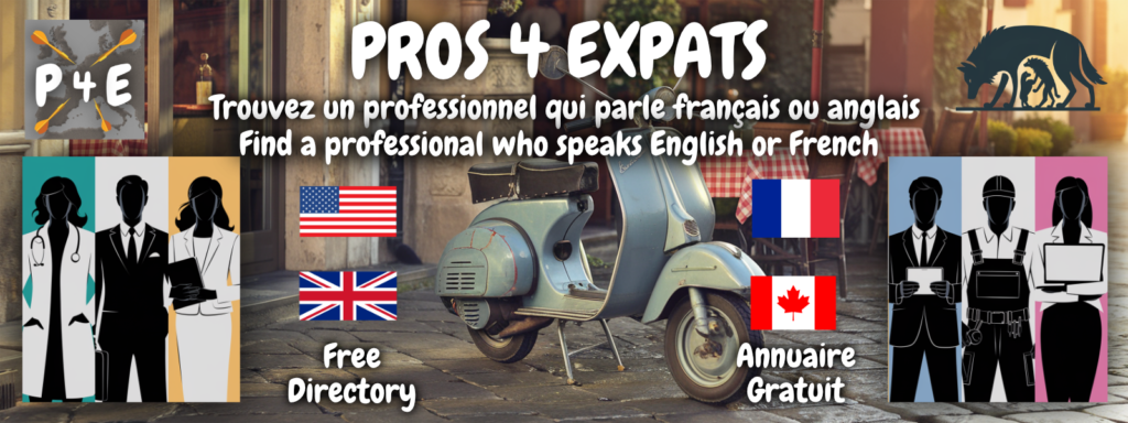 Header pros4expats.it